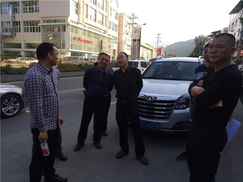 市局领导调研省道214线k116+900处边坡处治工作